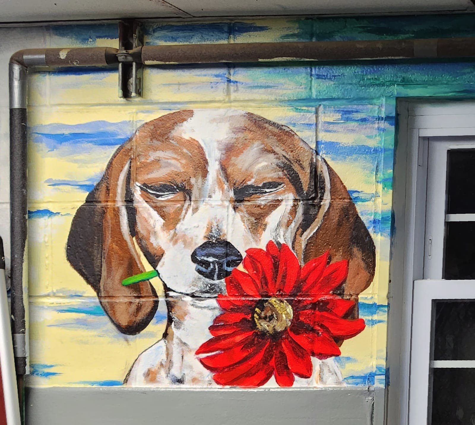 Hand-painted beagle holding a single red daisy in its mouth, painted across a storefront window