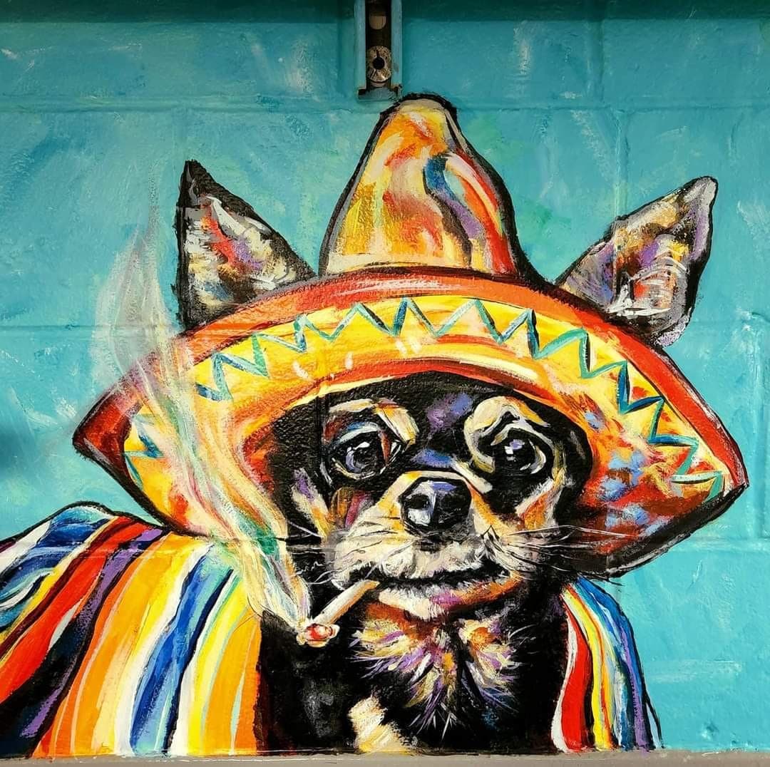 Playful chihuahua wearing a sombrero and striped serape, painted on a bright teal wall